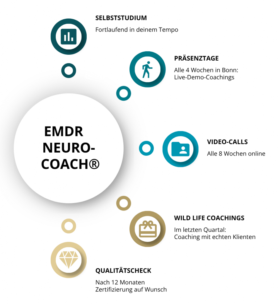 Lernkonzept EMDR Tanja Klein